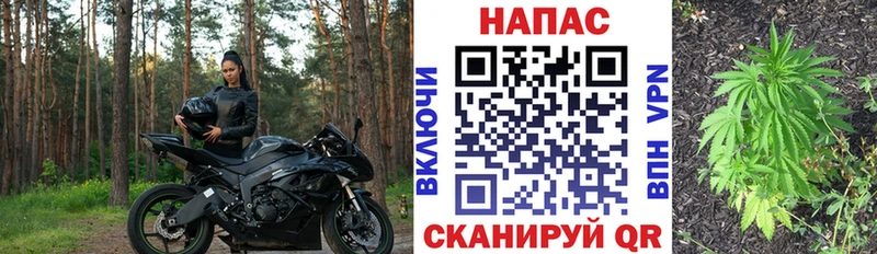 Где купить наркоту Ахтубинск А ПВП Бошки Шишки МЕФ ГАШИШ