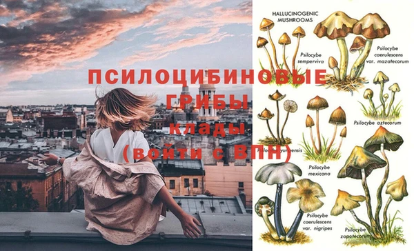 дмт Семикаракорск