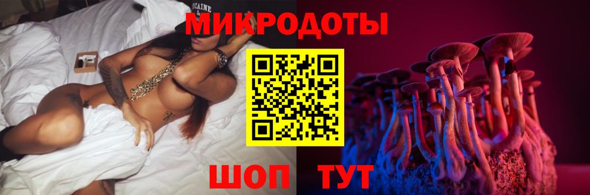 купить наркотики сайты  Галлюциногенные грибы Psilocybe  Вход с VPN  Ахтубинск 